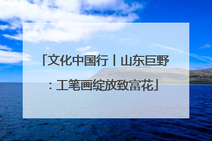 文化中国行丨山东巨野：工笔画绽放致富花