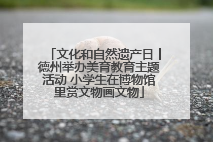文化和自然遗产日丨德州举办美育教育主题活动 小学生在博物馆里赏文物画文物