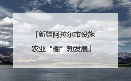 新疆阿拉尔市设施农业“棚”勃发展