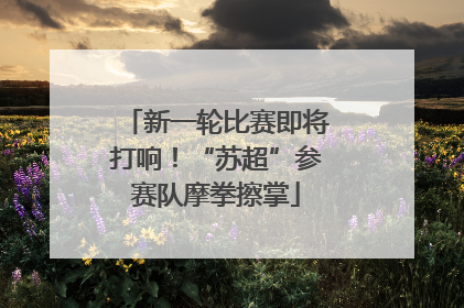 新一轮比赛即将打响！“苏超”参赛队摩拳擦掌