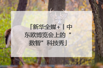 新华全媒+丨中东欧博览会上的“数智”科技秀