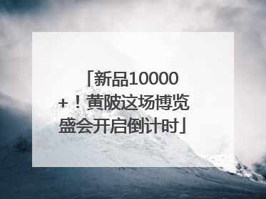 新品10000+！黄陂这场博览盛会开启倒计时