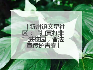 新州镇文星社区：“扫黄打非”进校园，普法宣传护青春
