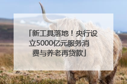 新工具落地！央行设立5000亿元服务消费与养老再贷款