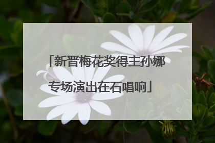 新晋梅花奖得主孙娜专场演出在石唱响