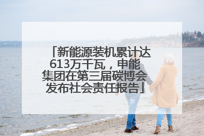 新能源装机累计达613万千瓦，申能集团在第三届碳博会发布社会责任报告