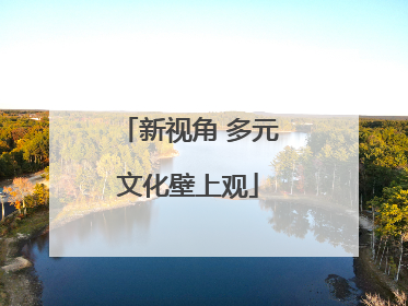 新视角 多元文化壁上观