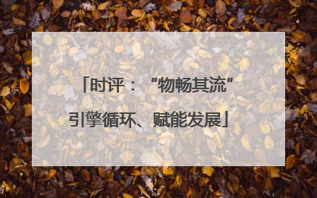 时评：“物畅其流”引擎循环、赋能发展