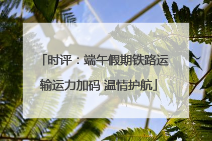 时评：端午假期铁路运输运力加码 温情护航