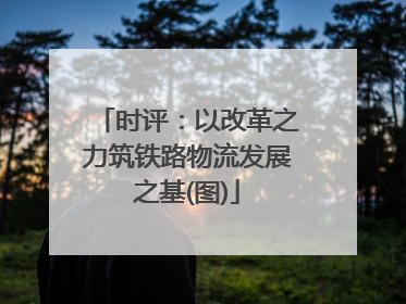 时评：以改革之力筑铁路物流发展之基(图)