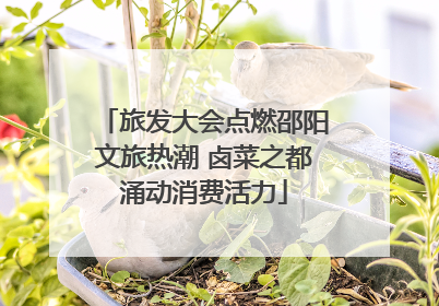 旅发大会点燃邵阳文旅热潮 卤菜之都涌动消费活力