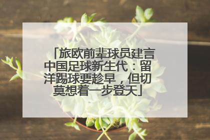 旅欧前辈球员建言中国足球新生代：留洋踢球要趁早，但切莫想着一步登天