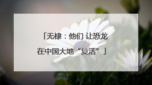 无棣：他们 让恐龙在中国大地“复活”