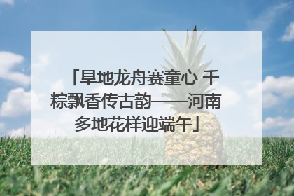 旱地龙舟赛童心 千粽飘香传古韵——河南多地花样迎端午