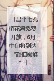 昌平七孔桥花海免费开放，6月中旬将到达“颜值巅峰”