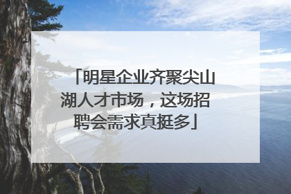 明星企业齐聚尖山湖人才市场，这场招聘会需求真挺多