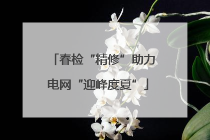 春检“精修”助力电网“迎峰度夏”