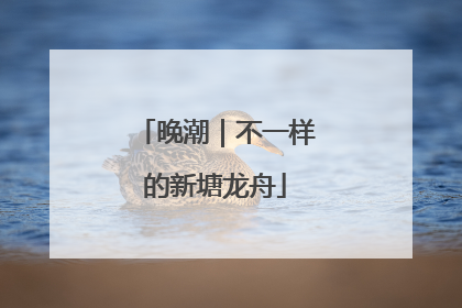 晚潮｜不一样的新塘龙舟