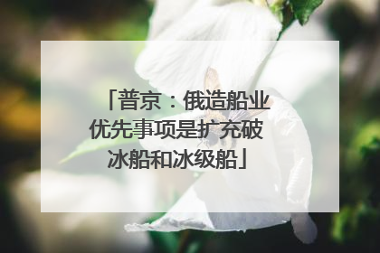 普京：俄造船业优先事项是扩充破冰船和冰级船