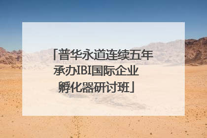 普华永道连续五年承办IBI国际企业孵化器研讨班