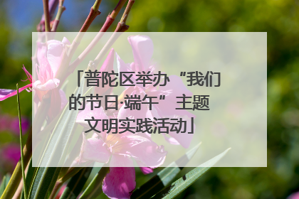 普陀区举办“我们的节日·端午”主题文明实践活动