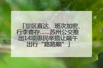 景区直达、班次加密、行李寄存……苏州公交推出14项惠民举措让端午出行“路路顺”