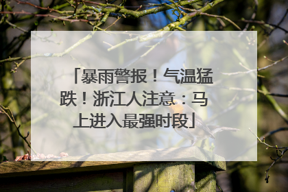 暴雨警报！气温猛跌！浙江人注意：马上进入最强时段