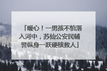 暖心！一男孩不慎落入河中，苏仙公安民辅警纵身一跃硬核救人