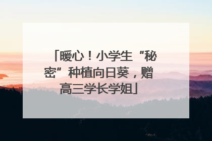 暖心！小学生“秘密”种植向日葵，赠高三学长学姐