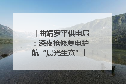 曲靖罗平供电局：深夜抢修复电护航“晨光生意”