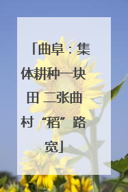 曲阜：集体耕种一块田 二张曲村“稻”路宽