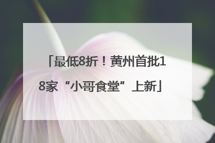 最低8折！黄州首批18家“小哥食堂”上新