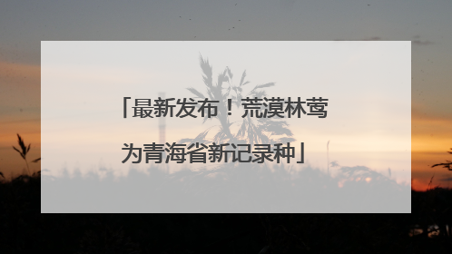 最新发布！荒漠林莺为青海省新记录种