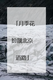 月季花扮靓北京道路