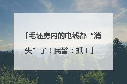 毛坯房内的电线都“消失”了！民警：抓！