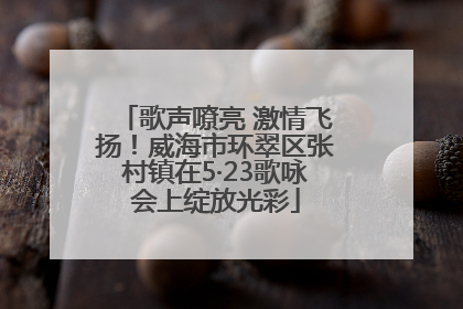 歌声嘹亮 激情飞扬！威海市环翠区张村镇在5·23歌咏会上绽放光彩