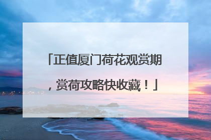 正值厦门荷花观赏期，赏荷攻略快收藏！