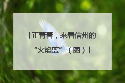 正青春，来看信州的“火焰蓝”（图）