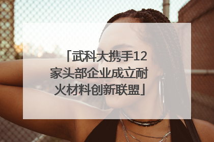 武科大携手12家头部企业成立耐火材料创新联盟