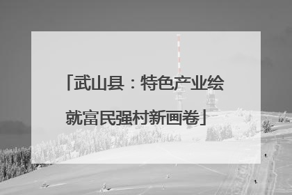 武山县：特色产业绘就富民强村新画卷