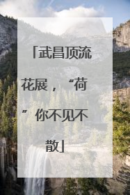 武昌顶流花展，“荷”你不见不散