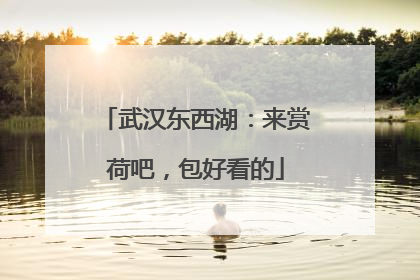 武汉东西湖：来赏荷吧，包好看的