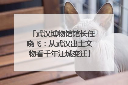 武汉博物馆馆长任晓飞：从武汉出土文物看千年江城变迁
