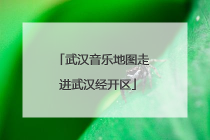 武汉音乐地图走进武汉经开区
