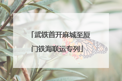 武铁首开麻城至厦门铁海联运专列