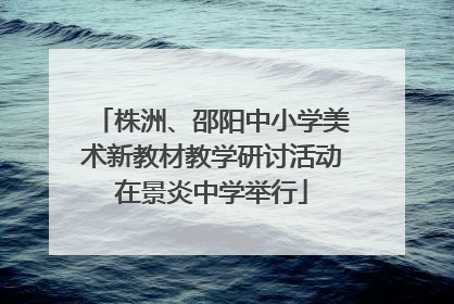 株洲、邵阳中小学美术新教材教学研讨活动在景炎中学举行