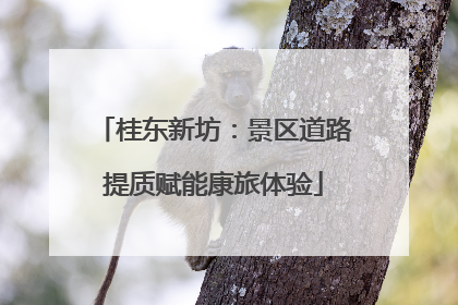 桂东新坊：景区道路提质赋能康旅体验