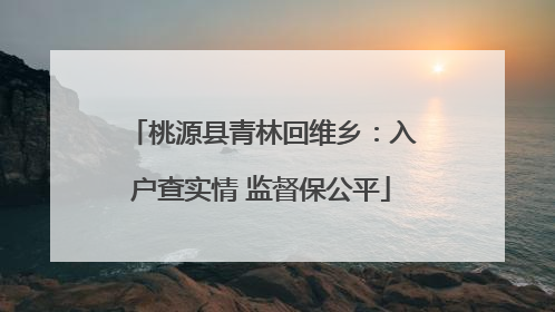 桃源县青林回维乡：入户查实情 监督保公平