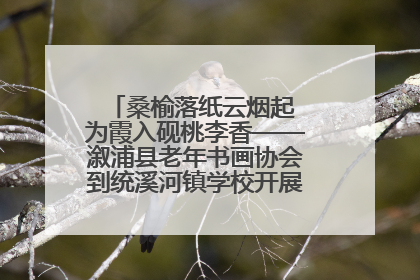桑榆落纸云烟起 为霞入砚桃李香——溆浦县老年书画协会到统溪河镇学校开展书画进校园活动