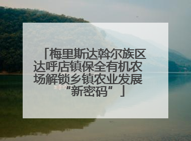 梅里斯达斡尔族区达呼店镇保全有机农场解锁乡镇农业发展“新密码”